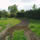 Landscaping Trowbridge